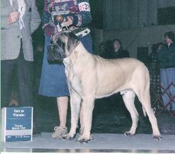 g-winston.jpg (11743 bytes)